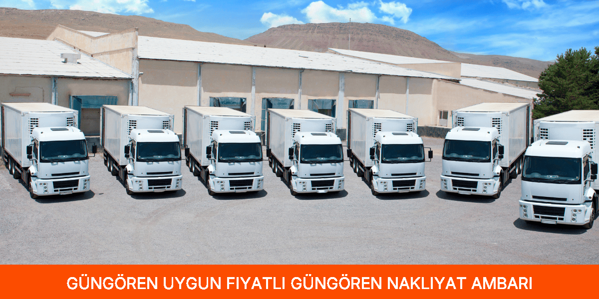 Uygun Fiyatlı Güngören Nakliyat Ambarı
